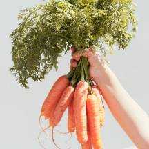 carrots